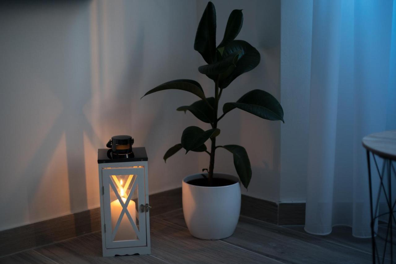 דירות רייקה Luxflat20 מראה חיצוני תמונה